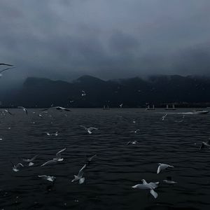 欧美做受❌❌❌高潮8
