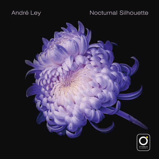 欧美做受❌❌❌高潮8
